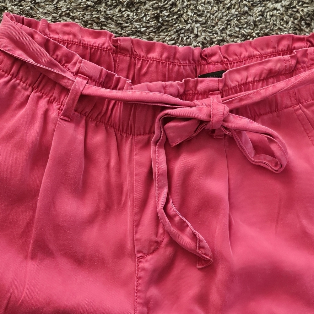 Ann Taylor Factory Belted High Rise Ankle Pants Red Size 10 - Picture 4 of 9